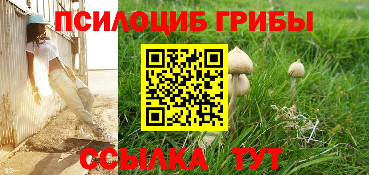 Галлюциногенные грибы GOLDEN TEACHER Качканар
